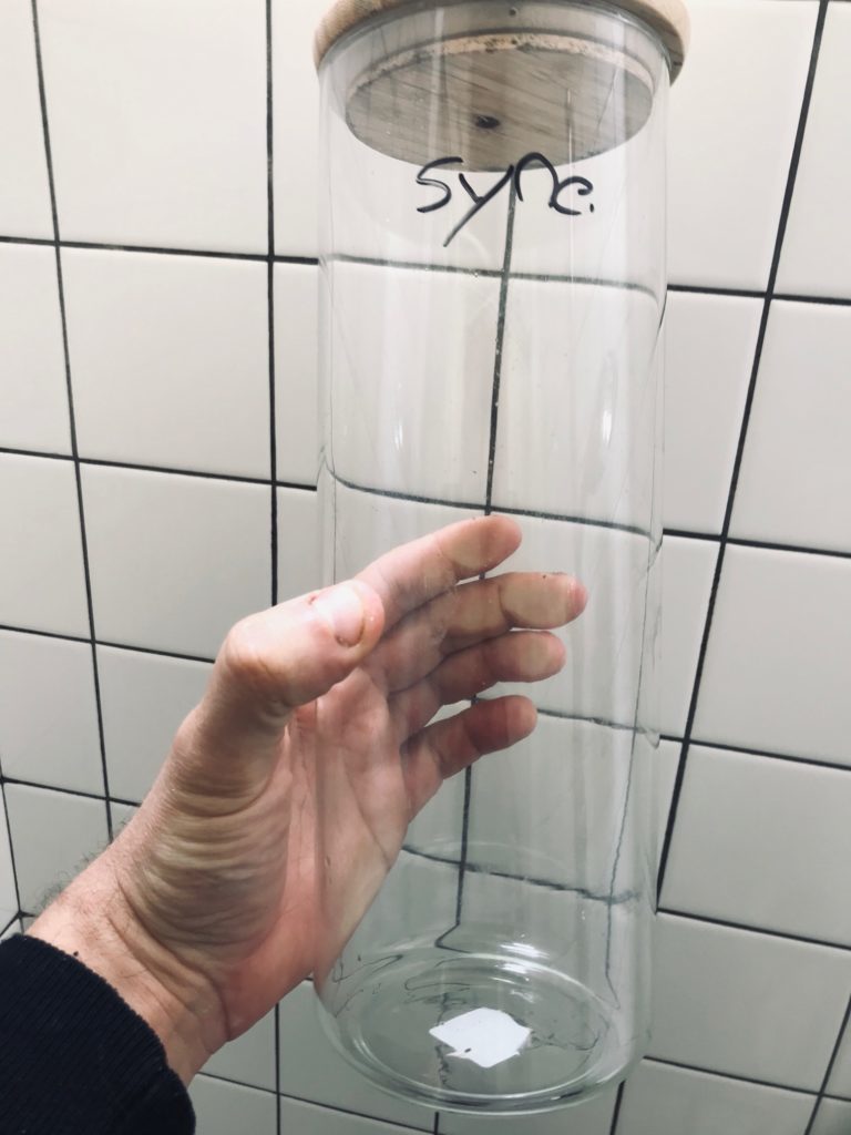 réacteur phytoplancton fabrication maison