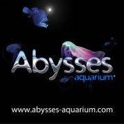 Abysses aquarium
