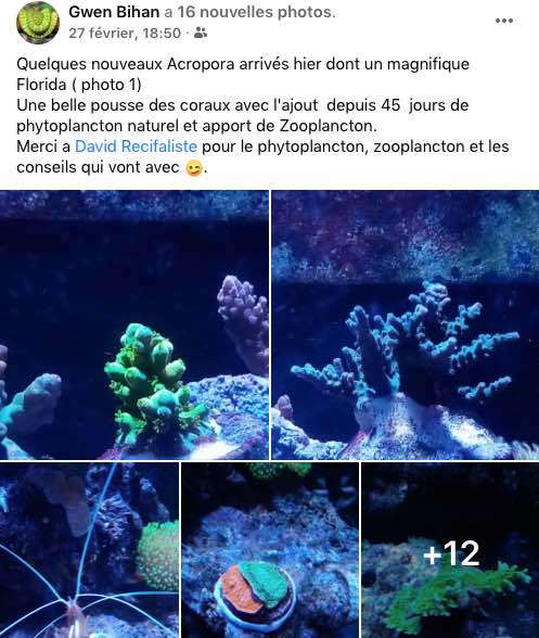 Temoignage phytoplancton