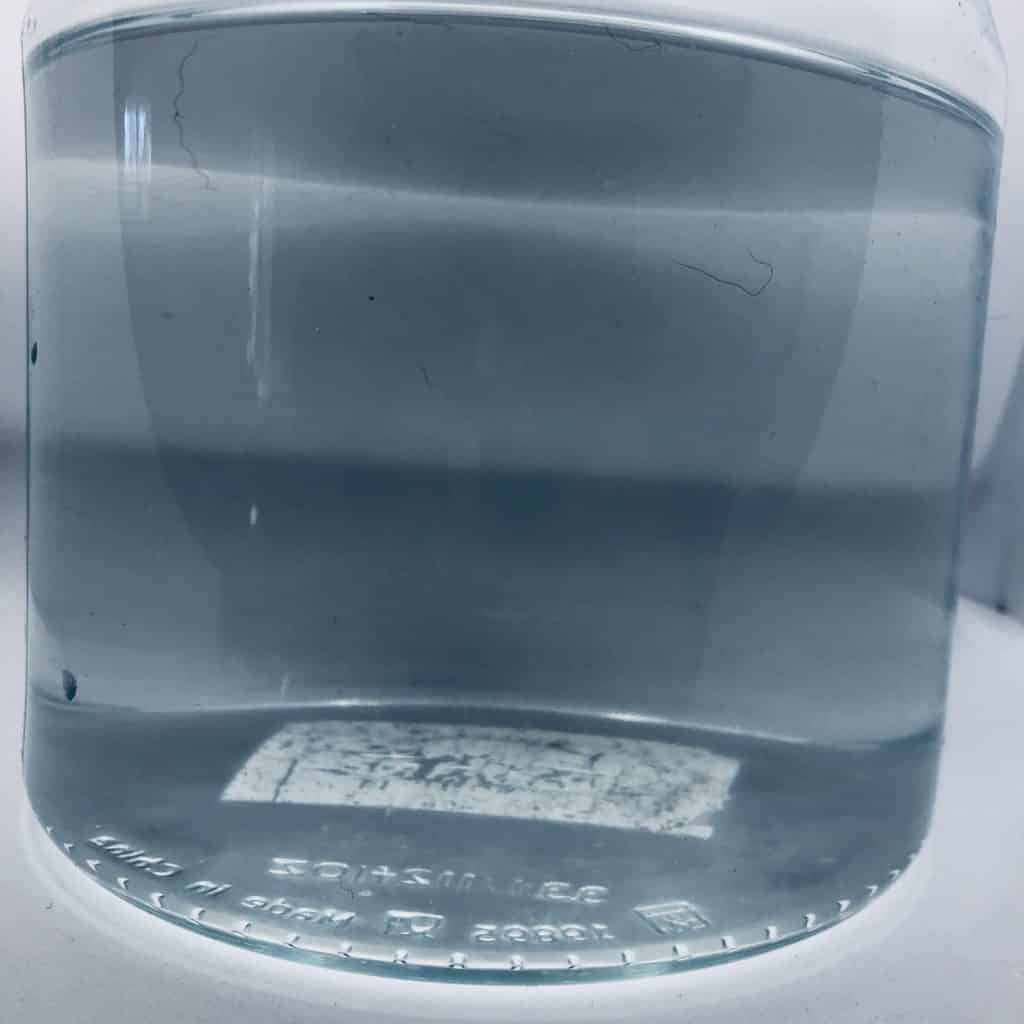 Culture de rotifere sans phytoplancton vivant