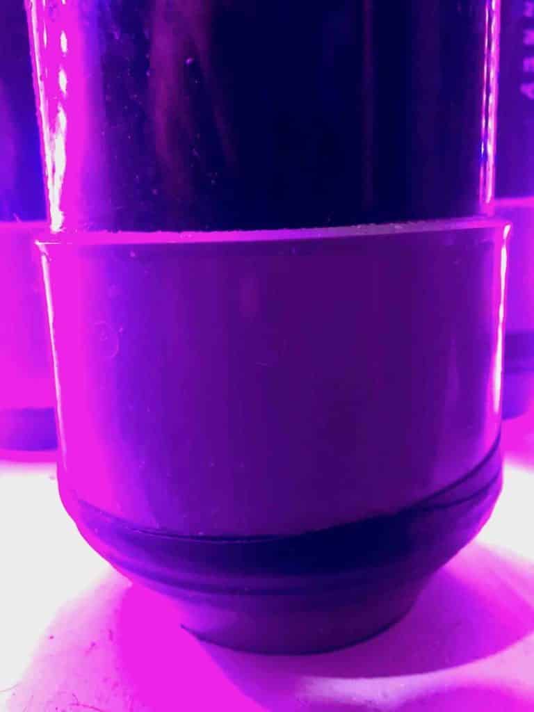 réacteur phytoplancton cone