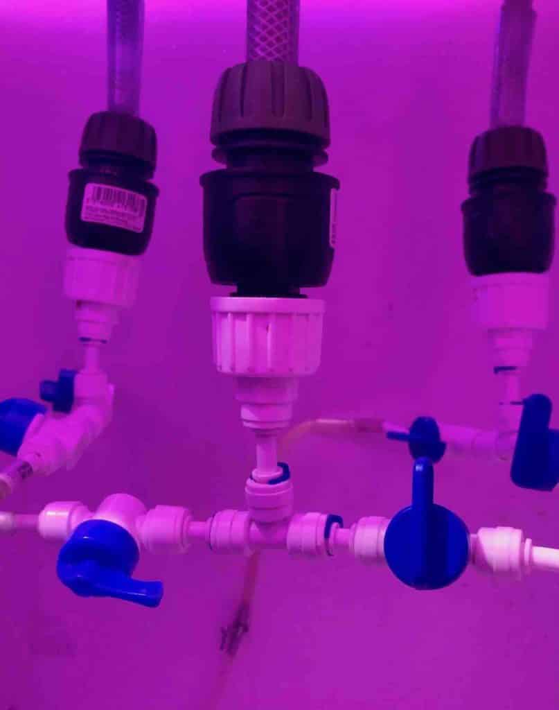 réacteur phytoplancton embout