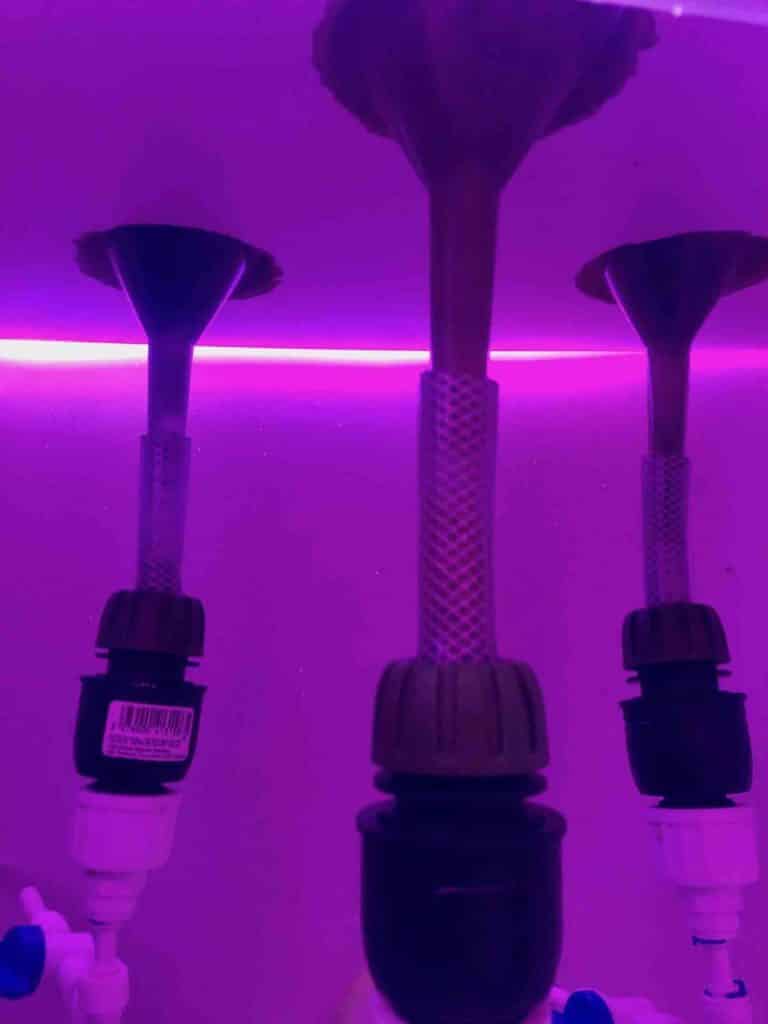 réacteur phytoplancton vu du dessous