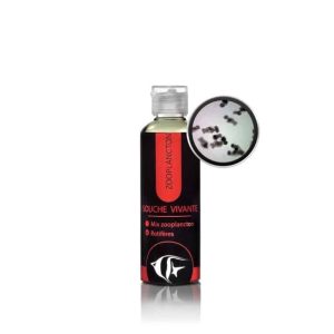 Rotifères Brachionus 100 ml