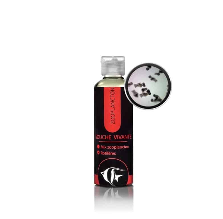 Rotifères Brachionus 100 ml