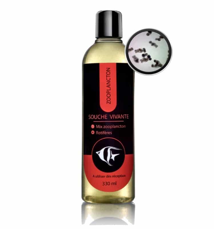 souches rotifères 330 ml