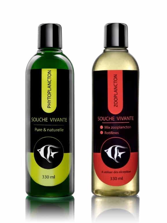 souches vivantes de phytoplancton et zooplancton marin