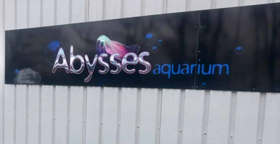Abysses aquarium Nantes