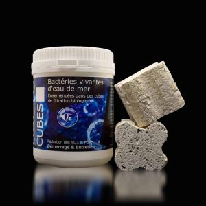 Bacto Cubes - Bacteries vivantes eau de mer pour aquarium recifal