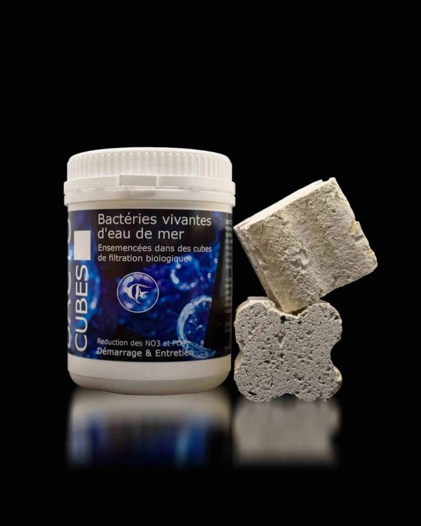 Bacto Cubes - Bacteries vivantes eau de mer pour aquarium recifal