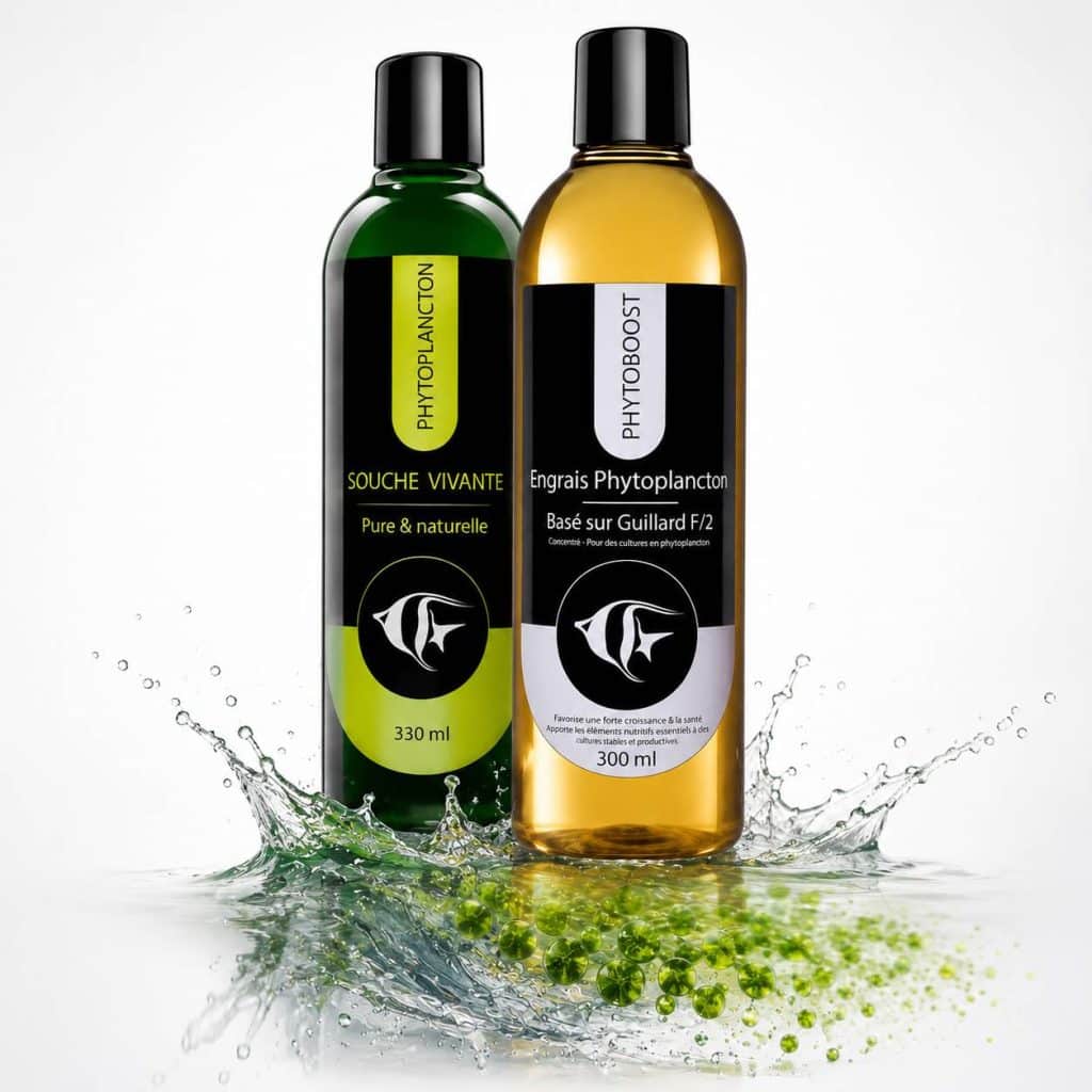 Kit de culture phytoplancton