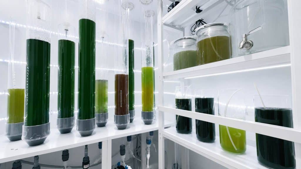 Laboratoire Lab Recifal