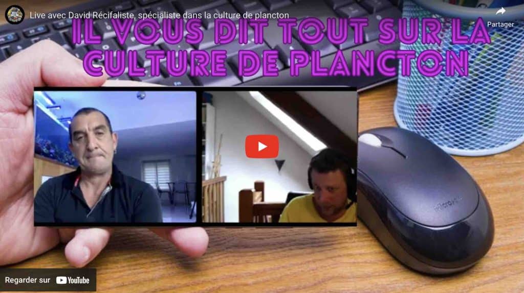 Live de chaine youtube recifdubelon