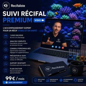 Suivi Récifal Premium – Visio