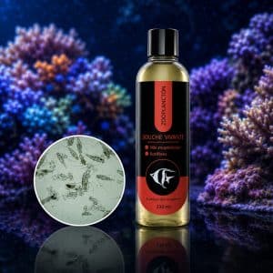 Zooplancton vivant